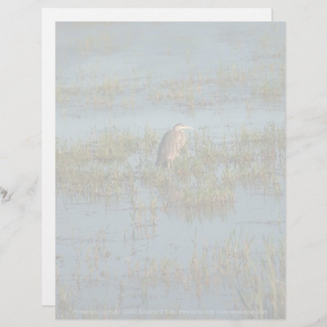 Heron 6937 (Front/Back)