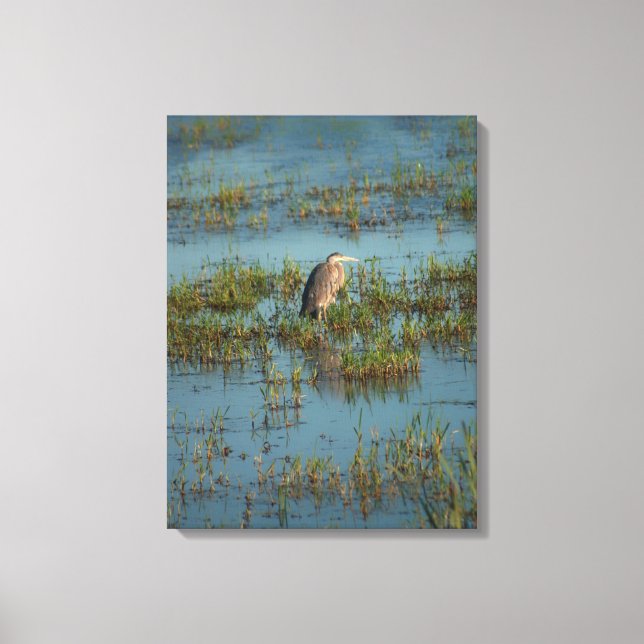 Heron 6937 canvas print (Front)