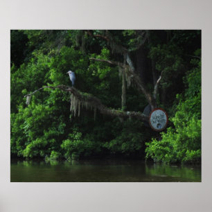 Heron  and Lazy River Poster Print