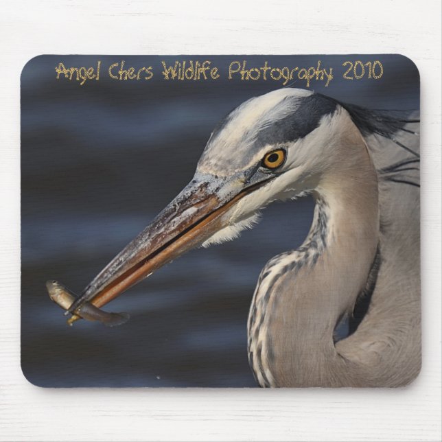 Heron And Minnow By Angel Cher, Angel Chers Wil... Mouse Pad (Front)