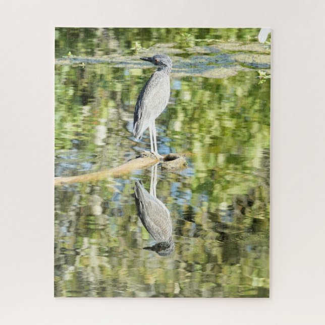 Heron (and reflection) at the pond; nature jigsaw puzzle (Vertical)