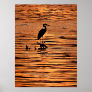 Heron at Sunset Poster
