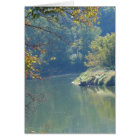 Héron au bord de la rivière