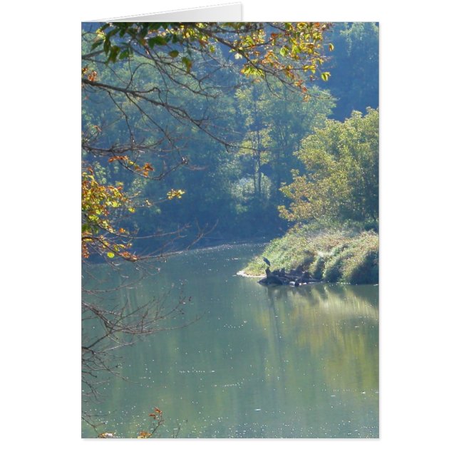 Héron au bord de la rivière (Devant)