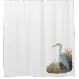 Heron Au Rideau De Douche Marsh Edge