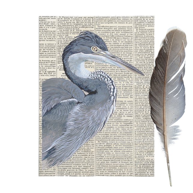 Heron Bird French Newspaper Vintage Decoupage Tissue Paper (Creator Uploaded)
