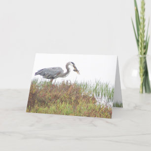 Heron Bird Wildlife Animals Wetlands Card