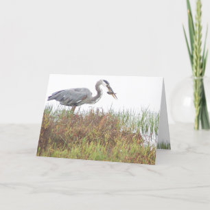 Heron Birds Wildlife Animals Wetlands Card