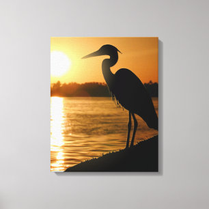 Heron Canvas Print