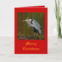 Heron Christmas Cards
