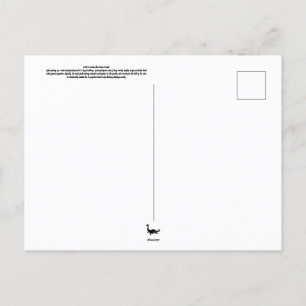 Heron Couple Postcard