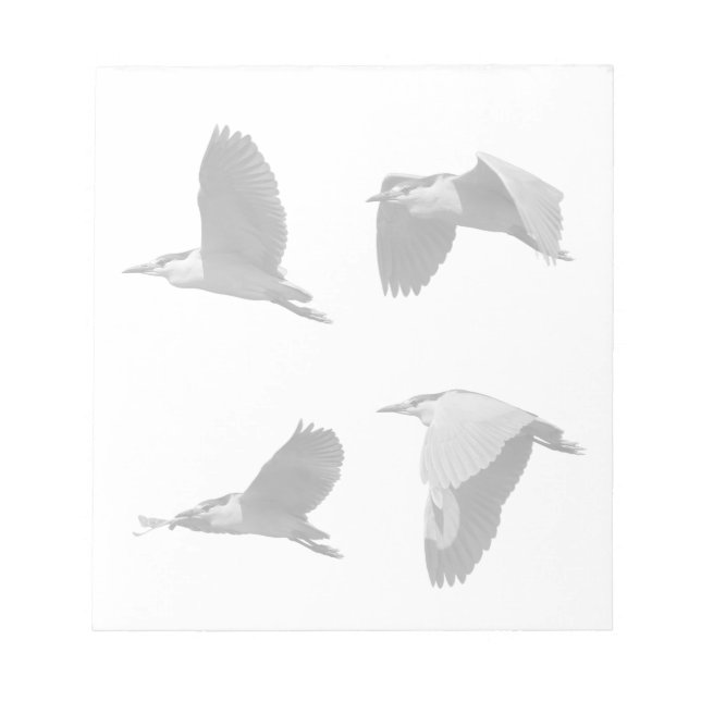 Heron dans le Bloc-notes de vol (Devant)