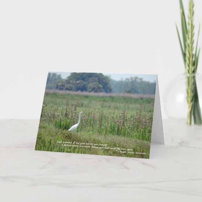 Héron dans le domaine de la carte de fleurs (Devant)