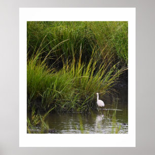 Heron dans le Marsh Poster