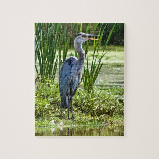 Héron de grand bleu au puzzle d'étang (Vertical)