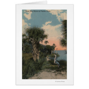 Héron de grand bleu sur la plage de côte de la