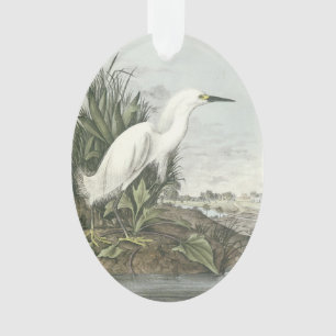 Héron de Milou par Audubon