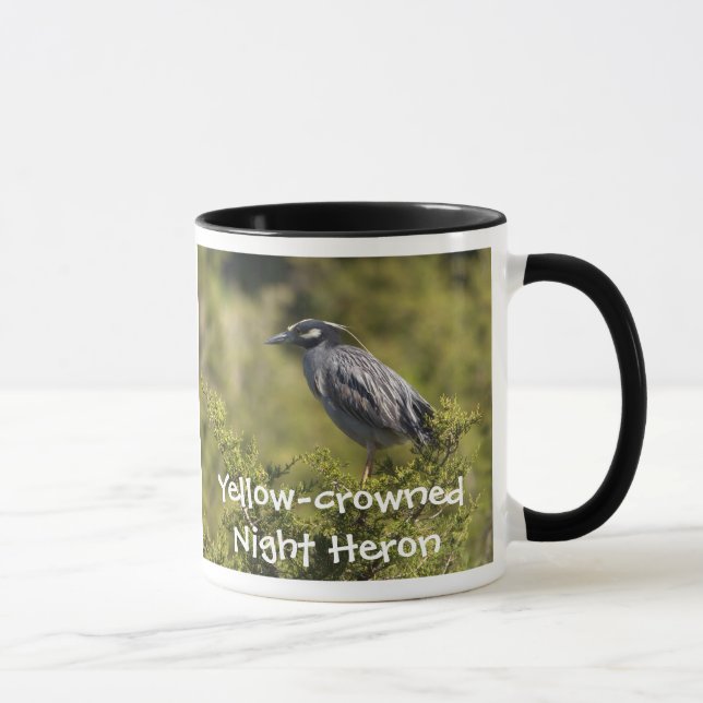 Héron de nuit à couronne jaune Mug (Droite)