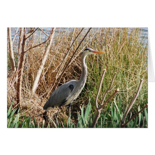 Heron Enjoying Sunshine Card