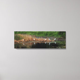 Heron Family - right side Canvas Print