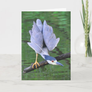 Heron Fishing Card