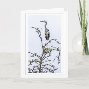 Heron greeting card