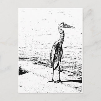 Heron In Ink Postcard