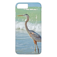 heron in ocean surf
