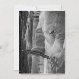 Heron in the Falls Holiday Card