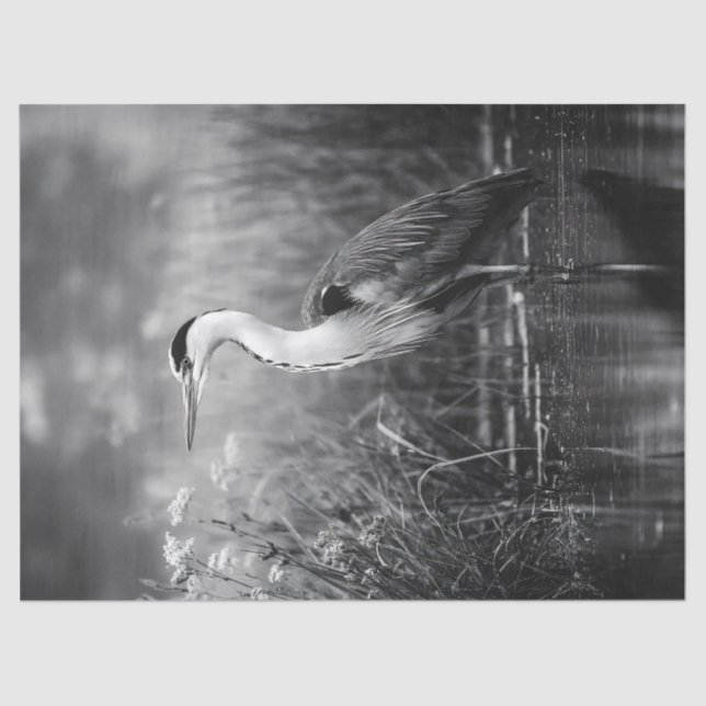Heron in the Marsh Black and White Decoupage Tissue Paper (Front)