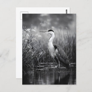 Heron in the Marsh Black and White Postcard