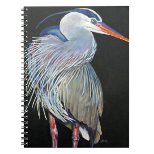 Heron Notebook