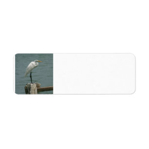 Heron on Piling