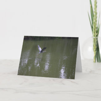 Heron Over Quiet Waters Greeting Card