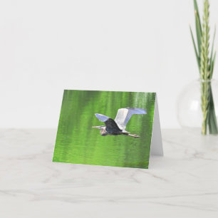 Heron Over The Water #3 - Carte blanche