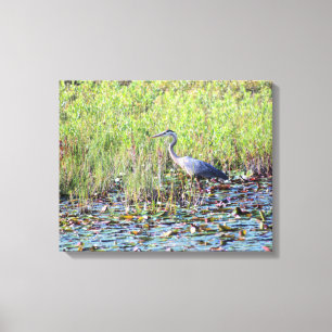 Heron P6450 Canvas Print