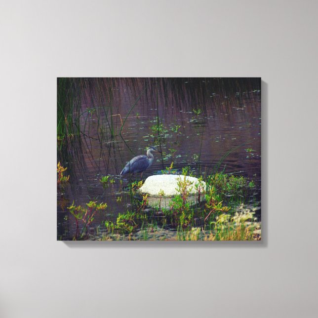 Heron P9687 Canvas Print (Front)