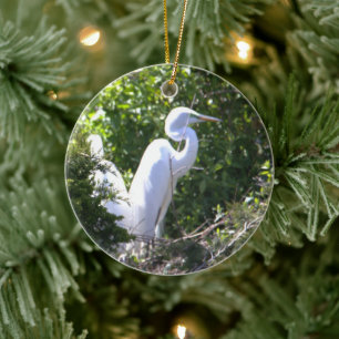 Heron Photo Ornament 