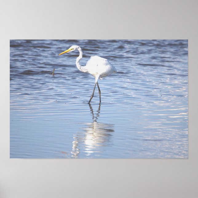 Heron Photo Poster (Front)