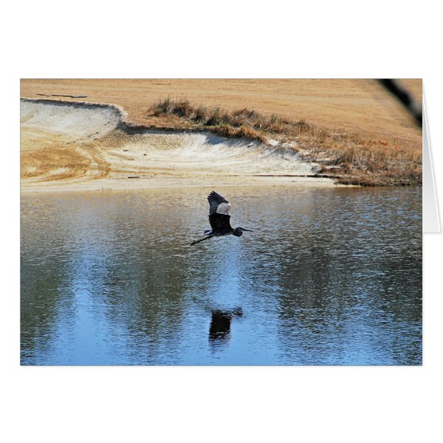Heron Profite du Golf (Devant horizontal)