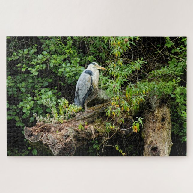 Heron. Roath Park Lake, Cardiff, Wales Jigsaw Puzzle (Horizontal)