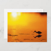 Heron silhouette at sunset, Florida Postcard (Front/Back)