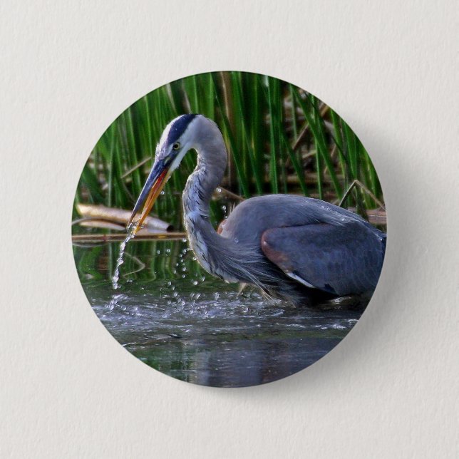 Heron Splash 2 Inch Round Button (Front)