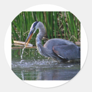 Heron Splash Classic Round Sticker