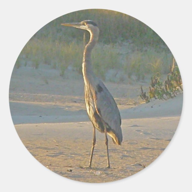 Heron Stickers (Front)