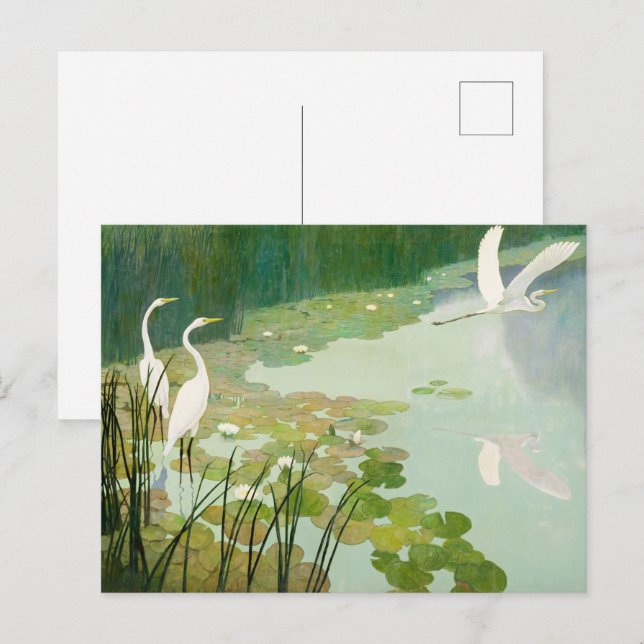 Herons in Summer by Newell Convers Wyeth Invitation Postcard (Front/Back)