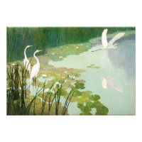 Herons in Summer by Newell Convers Wyeth