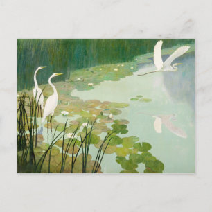 Herons in Summer by Newell Convers Wyeth Postcard