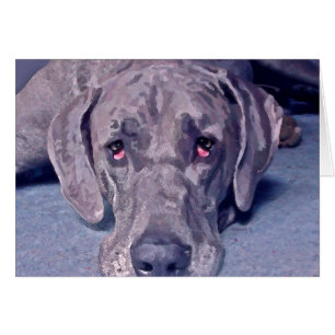 Héros de great dane