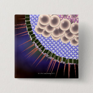 Herpes Virus 2 Inch Square Button